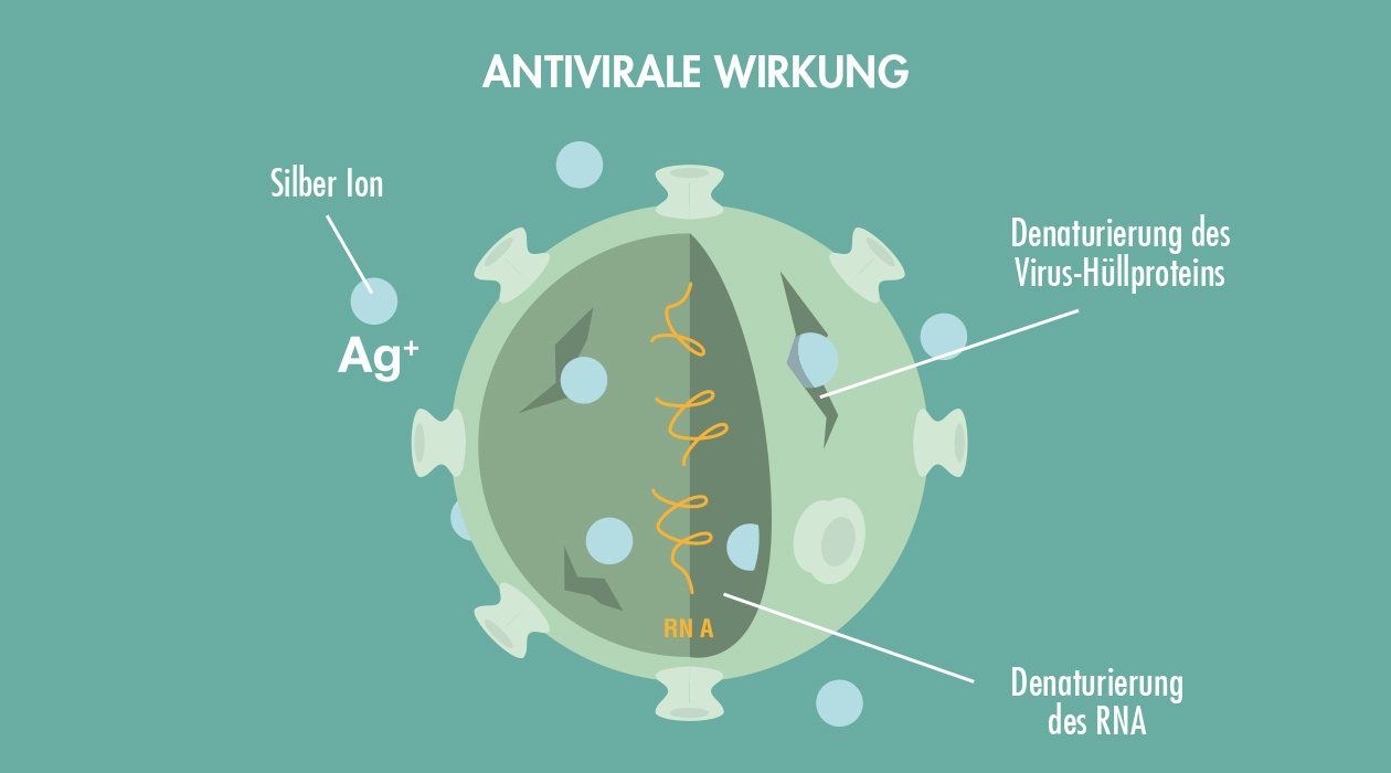 GASTROBACK® Luftreiniger mit AG+ Antiviral Technology - Antivirale Wirkung