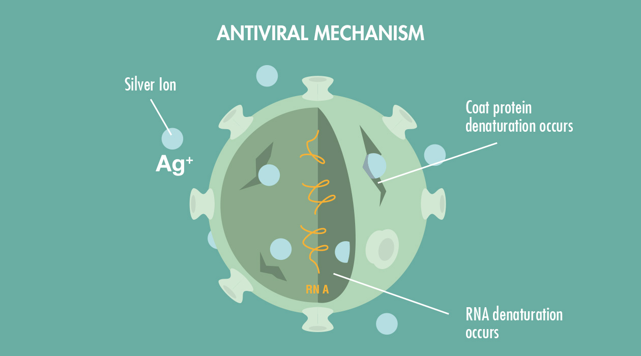 GASTROBACK® Air Purifier AG+ AirProtect - Antiviral Mechanism