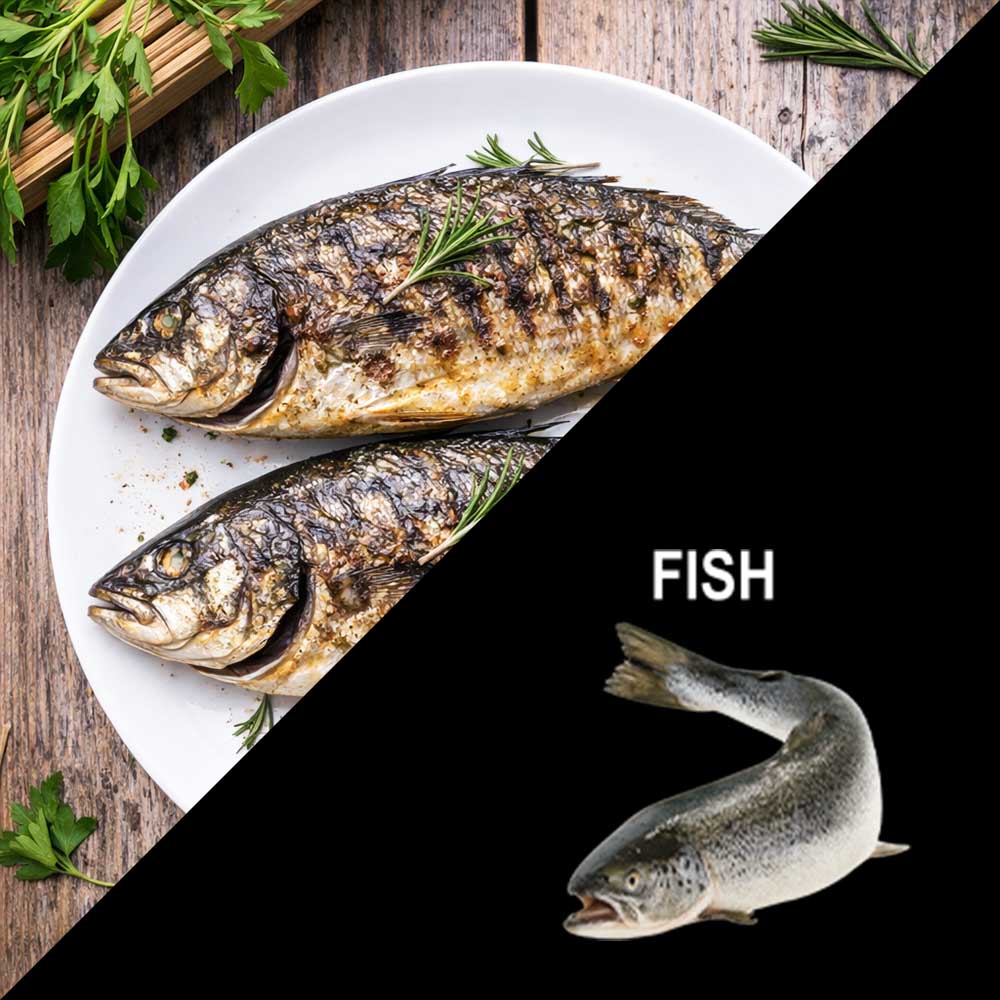 GASTROBACK® Airfryer - 42585 - Multi Hot Airfryer Heat & Crisp Family 8 L