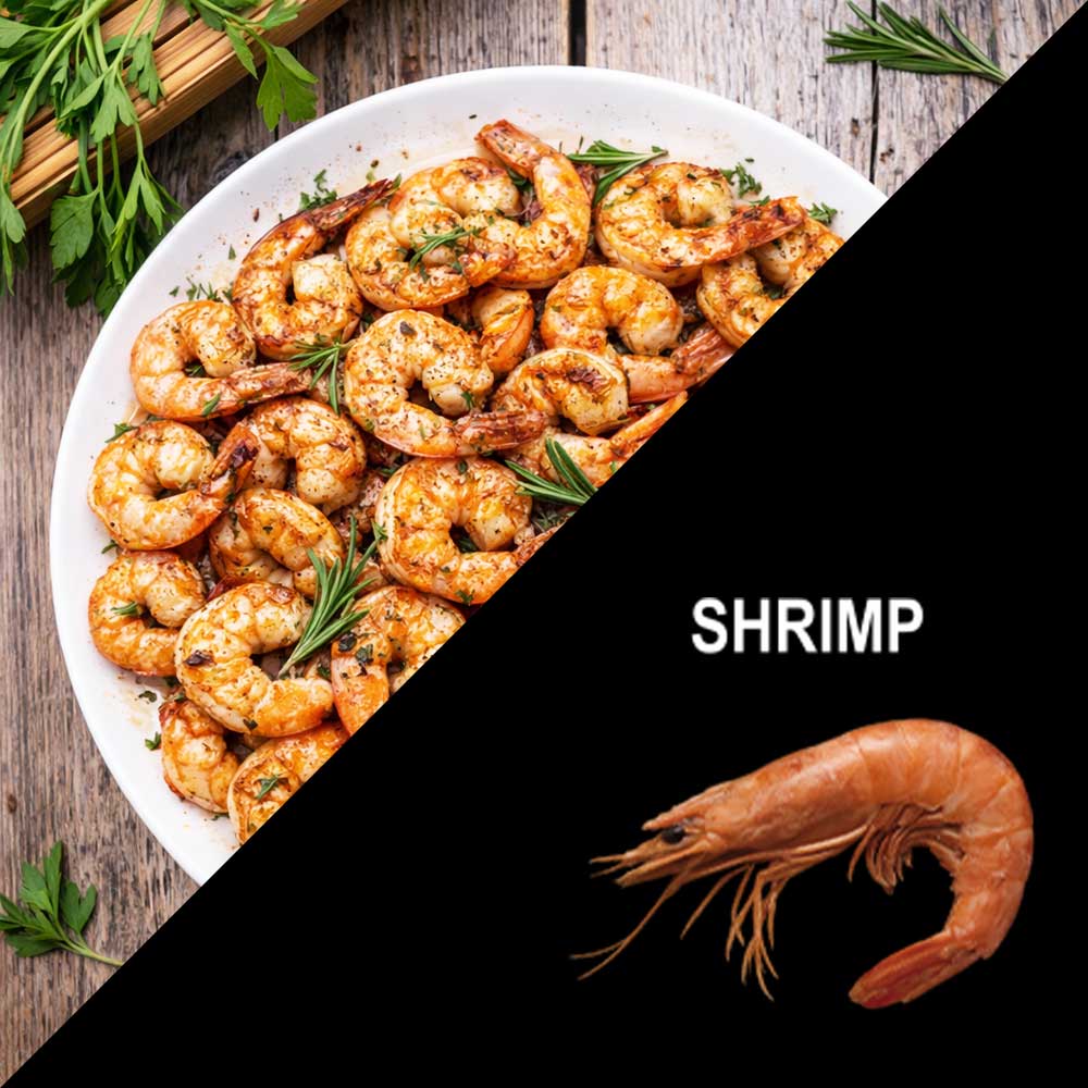 GASTROBACK® Air Fryer - 42586 - Multi Hot Air Fryer Duo Family 9 L