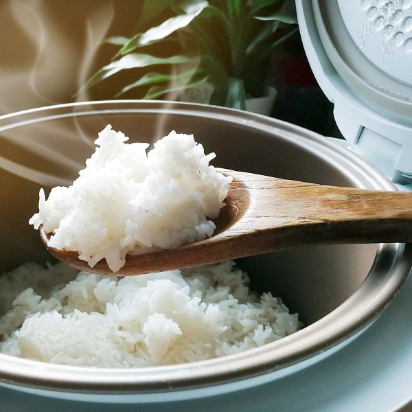 GASTROBACK® Rice Cooker - 42507 Design Rice Cooker