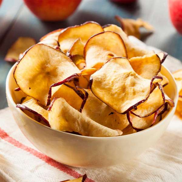 GASTROBACK® Dehydrator - 46604 - Design Dehydrator Mini Professional