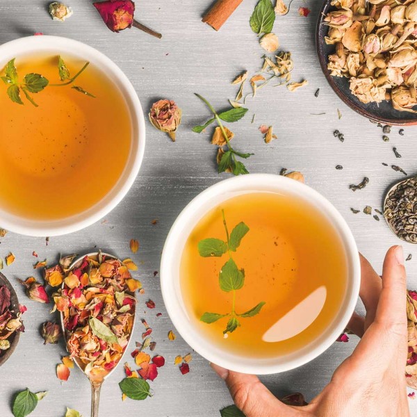 GASTROBACK® Water Kettle - 42427 Water Kettle Colour Vision Pro