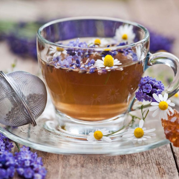 GASTROBACK® Water Kettle - 42427 Water Kettle Colour Vision Pro