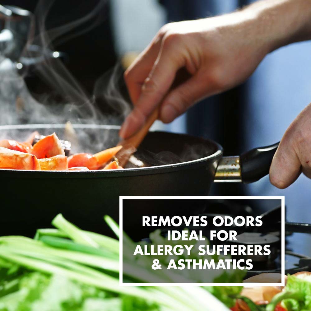 GASTROBACK® - Removes Odor - Ideal for allergy sufferers & astmatics GASTROBACK® - Removes Odor - Ideal for allergy sufferers & astmatics