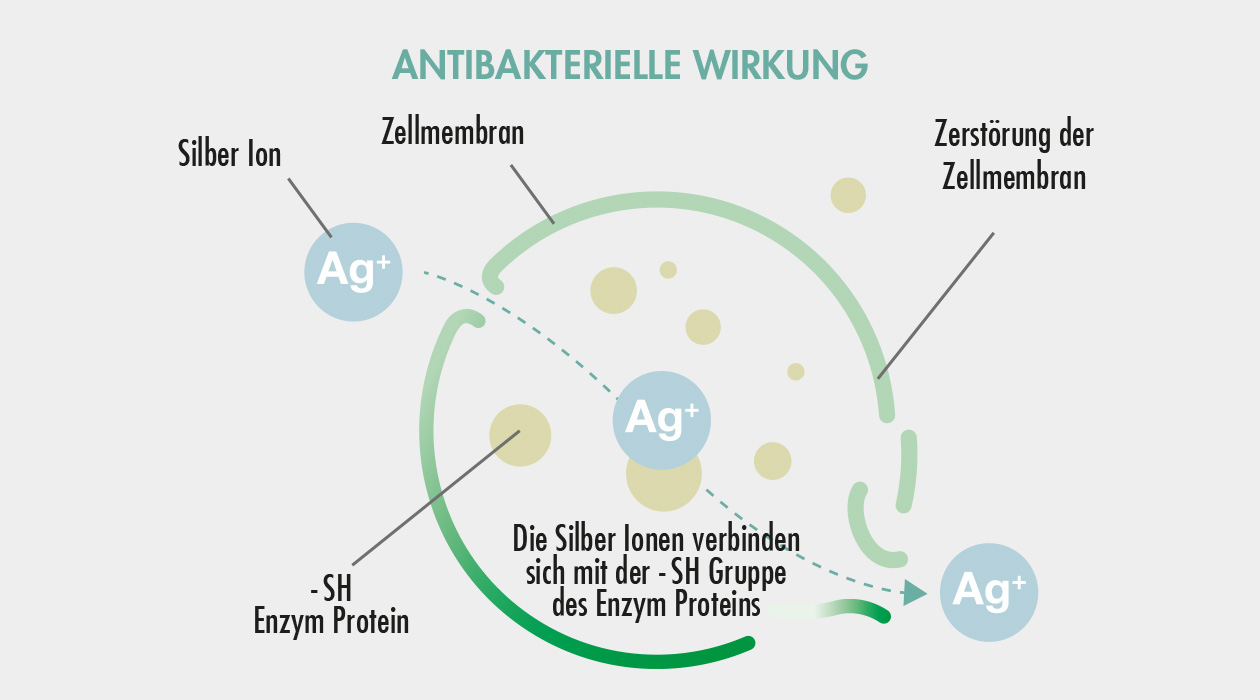 GASTROBACK® Luftreiniger mit AG+ Antiviral Technology - Antibakterielle Wirkung