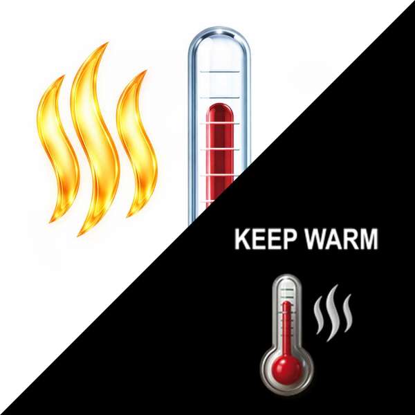 Multi Hot Air Fryer Heat & Crisp Family 8 L