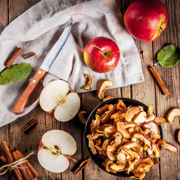 GASTROBACK® Dehydrator - 46602 Design Dehydrator Pro