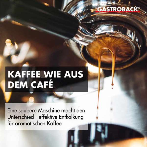 Premium Descaler 500 ml