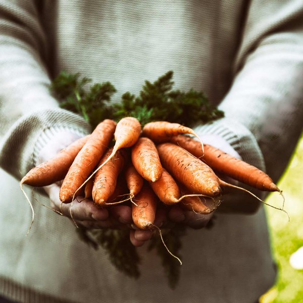 GASTROBACK® Juicer - 40145 - Slow Juicer Advanced Vital