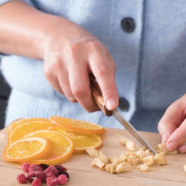 GASTROBACK® Dehydrator - 46602 Design Dehydrator Pro