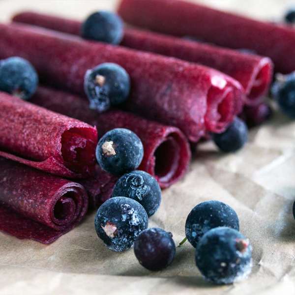 GASTROBACK® Dehydrator - 46604 - Design Dehydrator Mini Professional