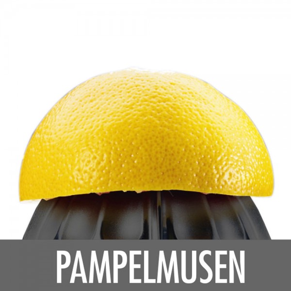 Home Culture Citrus Juicer