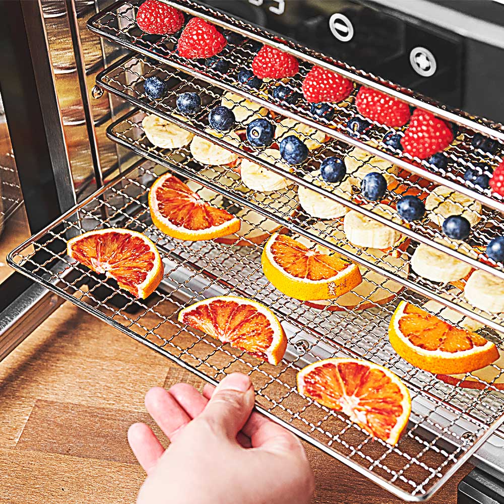 GASTROBACK® Dehydrator - 66602 Design Dehydrator Pro