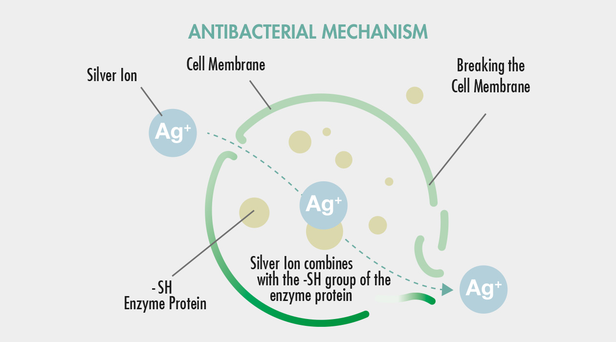 GASTROBACK® Air Purifier AG+ AirProtect - Antibacterial Mechanism