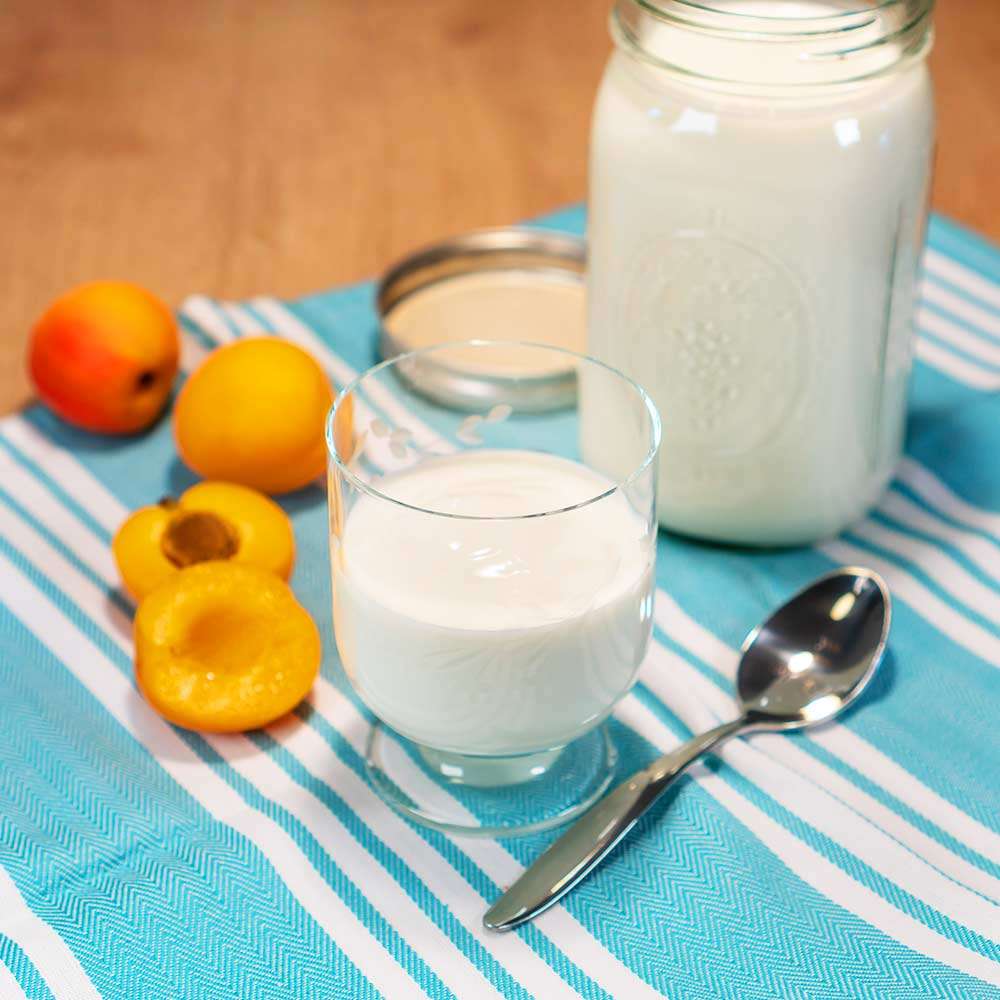selbstgemachter_Joghurt