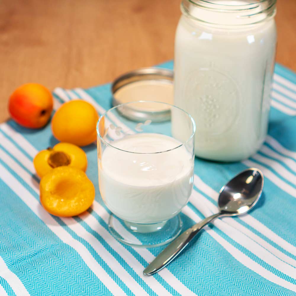 Selbstgemachter Joghurt | GASTROBACK®
