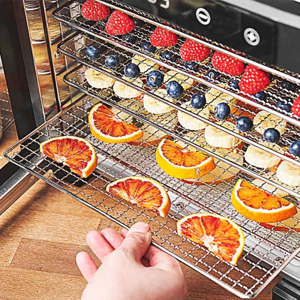 GASTROBACK® Dehydrator - 46602 Design Dehydrator Pro
