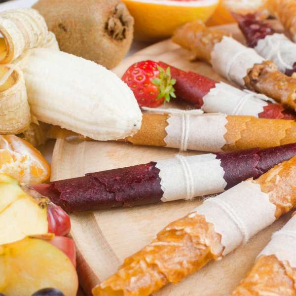 GASTROBACK® Dehydrator - 46604 - Design Dehydrator Mini Professional