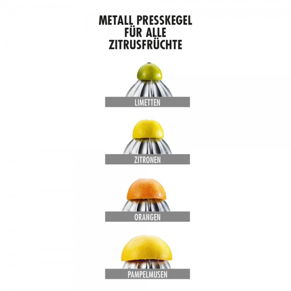 Fruchtkegel für 41150